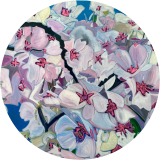 Cherry Blossoms