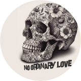 No Ordinary Love
