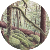 Marblemount