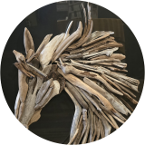 Windborn