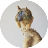 Sheep the Moss Fae