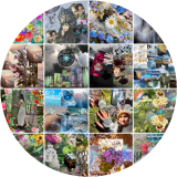 Nature's Canvas: A Journey Through Collage