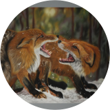 The Fox God