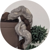 Felted Bonsai 
