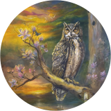 Owl at the Edge of Soft Reflection