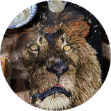 The Lion of Judah