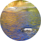 Shiawassee River at Henderson Park