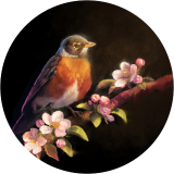 A Spring Visitor