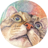 Therapeutic Cats