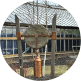 Doris's Wheel