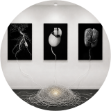 Adaptation Protocols