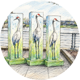Sandhill Cranes