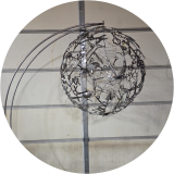 Nucleus 