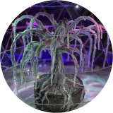 Heartwood Frost