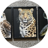 Endangered Species