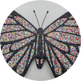 Buttonfly Bloom