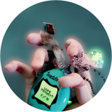 hard data / soft bodies