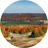 Two Peninsulas, One Autumn
