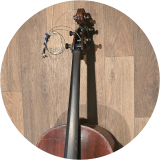 Lion Cello