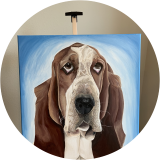 Basset Hound