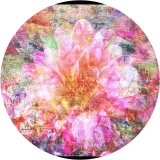 Dahlia Daze