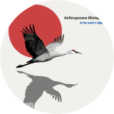 Anthropocene Mixtape: At the water's edge