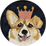 Princess Foxy