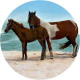 Animal triptych