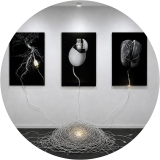 Adaptation Protocols
