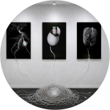 Adaptation Protocols