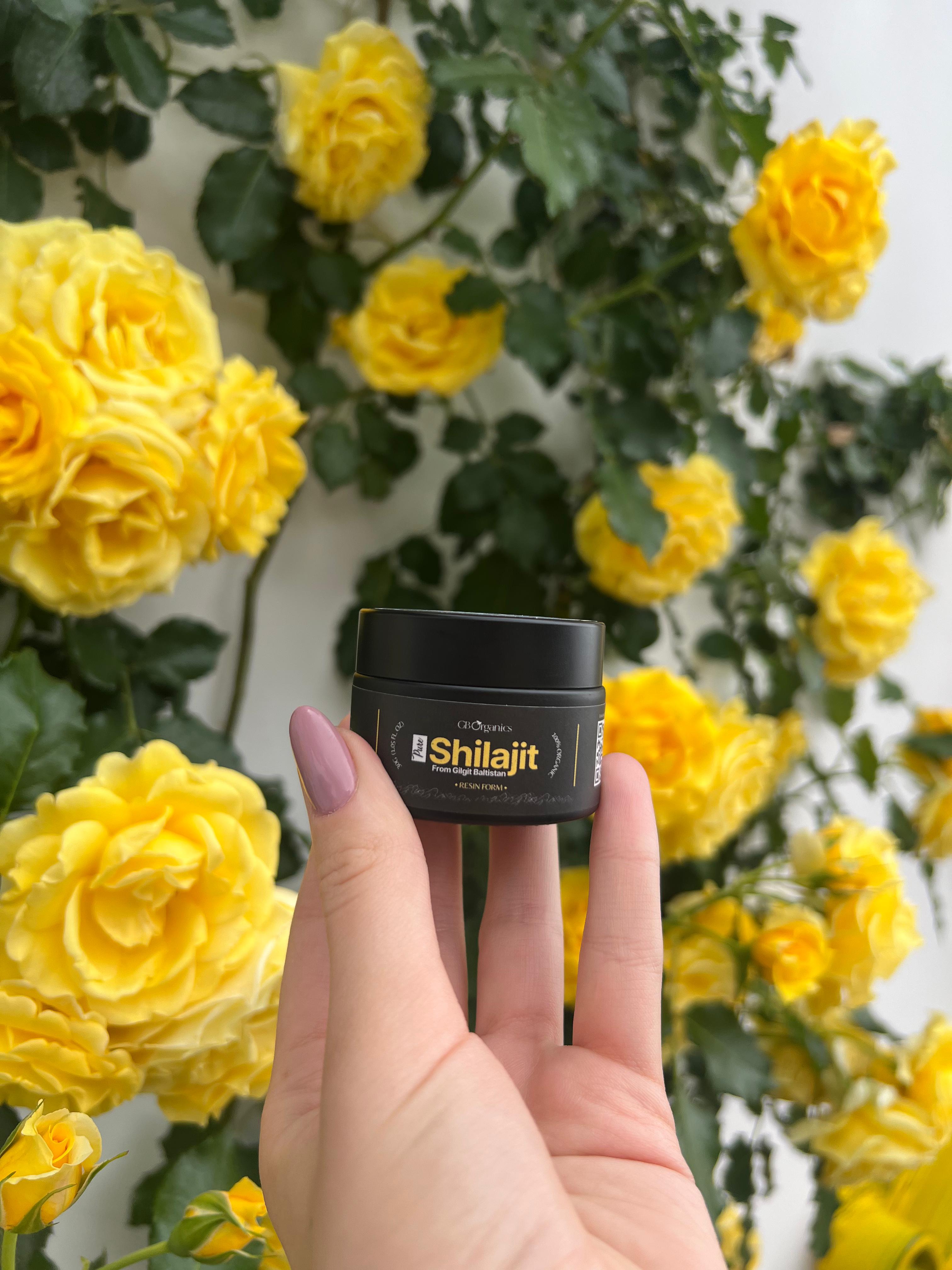 Himálajský Shilajit v životním stylu