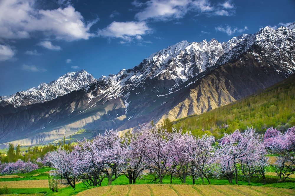 Spring gallery image 1