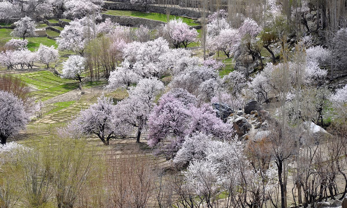 Spring gallery image 3