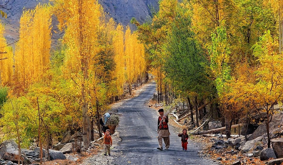Autumn gallery image 1