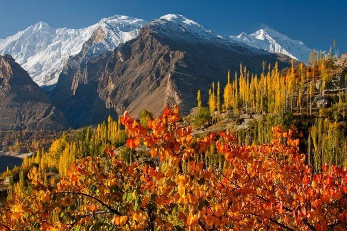 Autumn gallery image 2