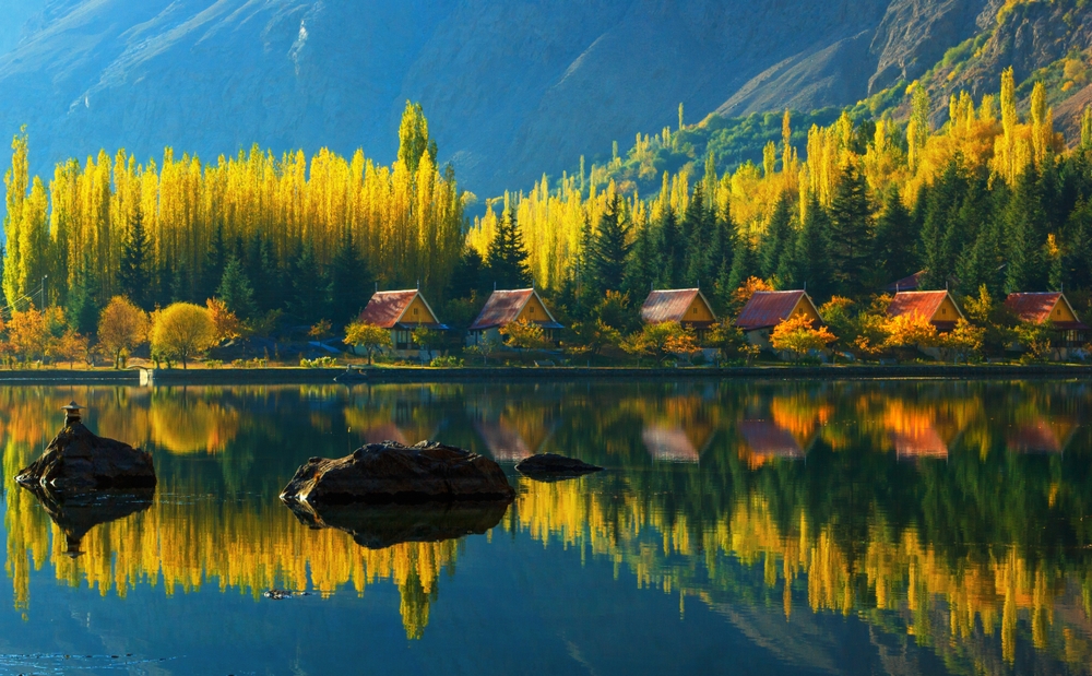 Autumn gallery image 3