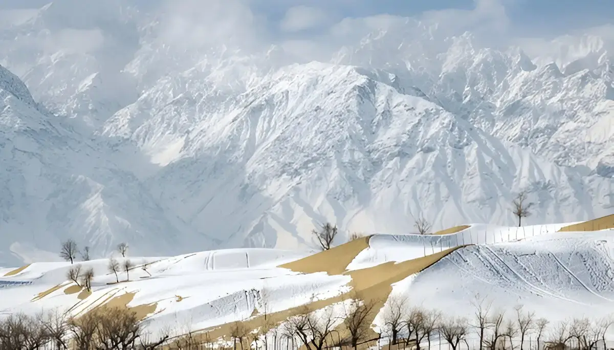 Winter gallery image 2