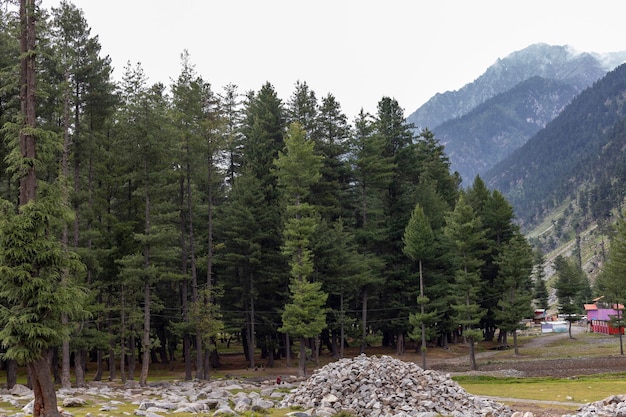 Upper Kachura Lake gallery image 2