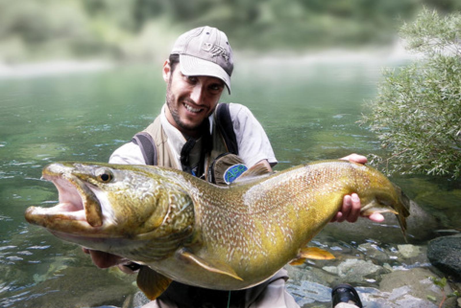 Basho Valley gallery image 1