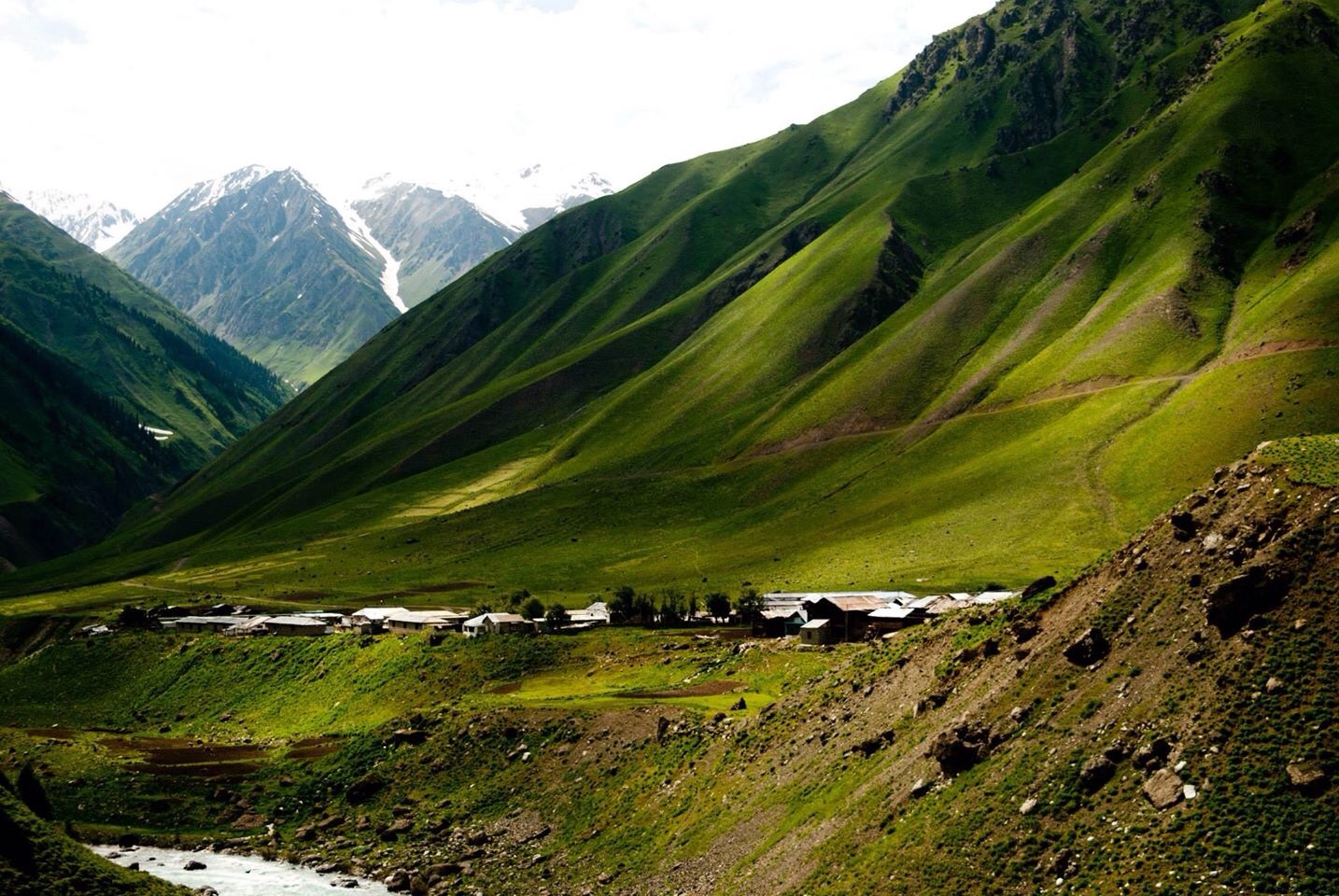Minimarg gallery image 3