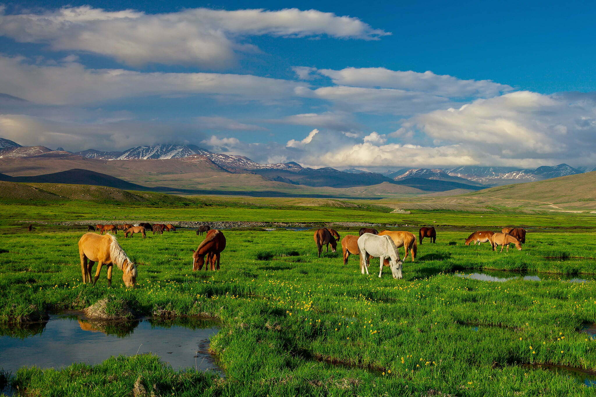 Skardu, Deosai, Dumel Jeep Safari Tour gallery image 1