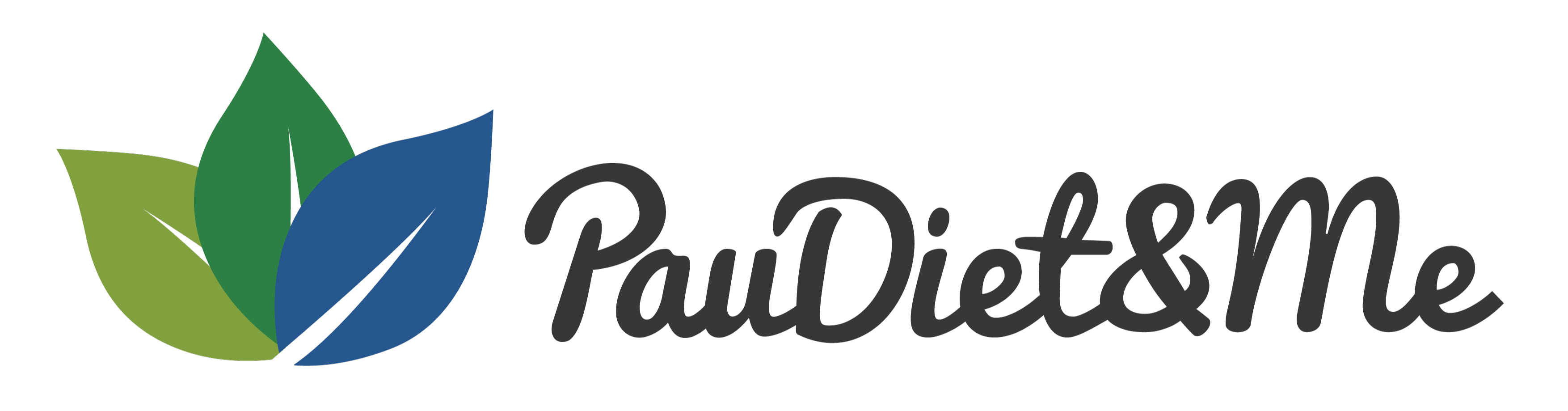 Paudiet