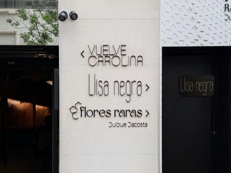 Llisa Negra