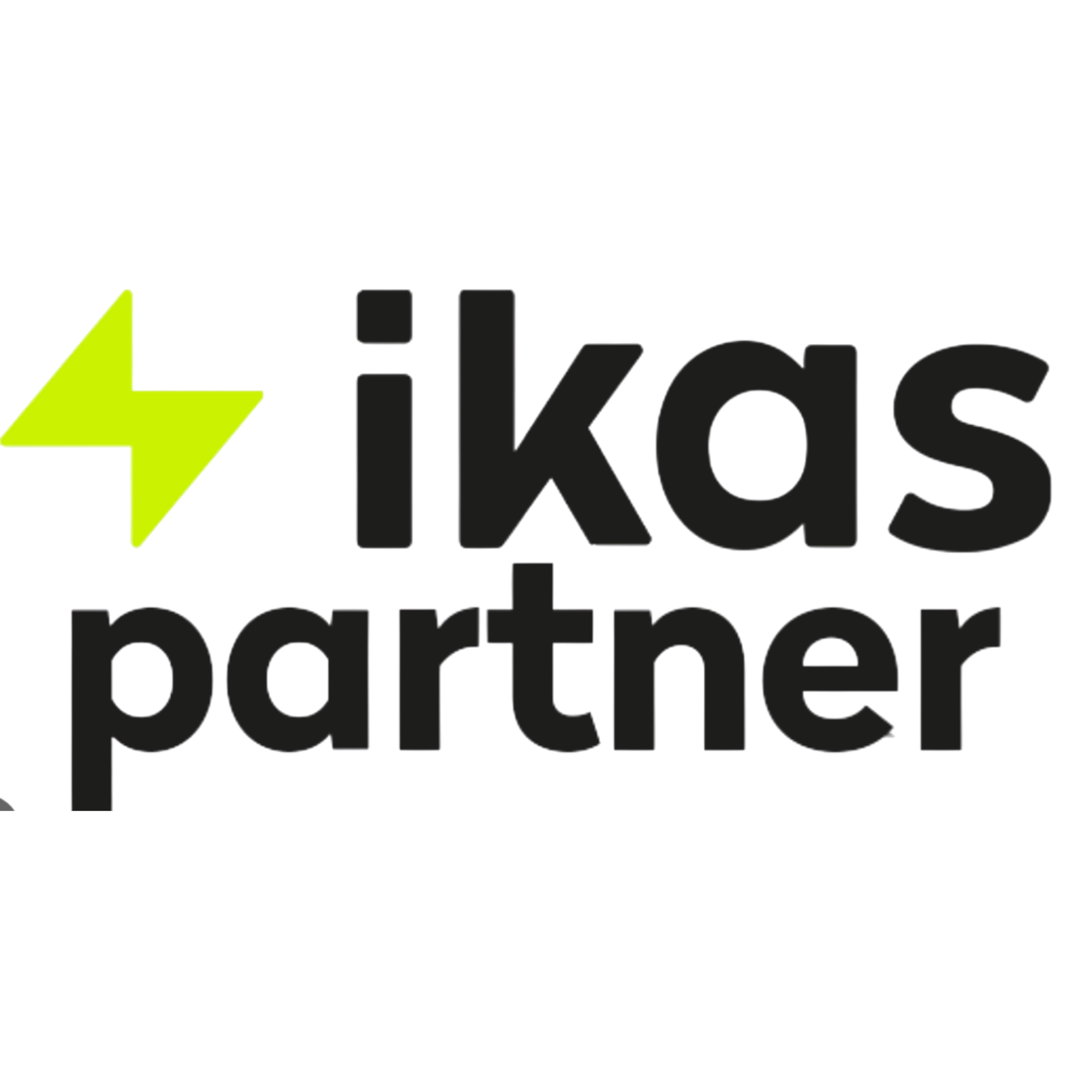 Partner Logo 4