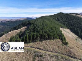 LAND FOR SALE IN NEW ZEALAND