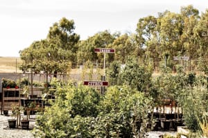 Corryong Building Supplies
