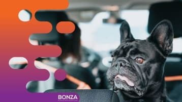 36452 Profitable Online Business - eCommerce in Premium Pet Niche