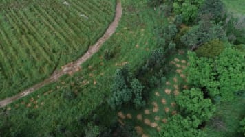 Established Environmental & Forestry Services Provider