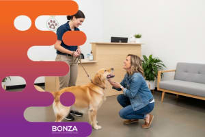 36626 Profitable & In Demand Dog Daycare & Grooming Business