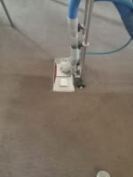 URGENT SALE- Profitable Owner-Operator Carpet Cleaning Business Growth Potential